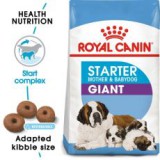 ROYAL CANIN GIANT STARTER M&B 15kg