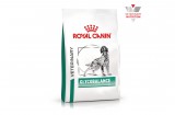Royal Canin Glycobalance - száraz gyógytáp cukorbeteg felnőtt kutyák részére 7 kg