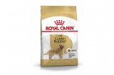 ROYAL CANIN GOLDEN RETRIEVER ADULT - Golden Retriver felnőtt kutya száraz táp 12 kg