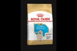 Royal Canin Golden Retriever Junior - Golden Retriever kölyök kutya száraz táp 12 kg