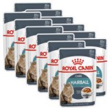 Royal Canin HAIRBALL CARE - tasak 12 x 85g