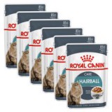 Royal Canin HAIRBALL CARE - tasak 6 x 85g