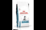 Royal Canin Hypoallergenic Puppy-száraz gyógytáp kölyök kutyák részére tápanyag intolerancia csökkentésére 1,5 kg