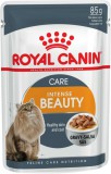 ROYAL CANIN INTENSE BEAUTY CARE - szószos nedves táp felnőtt macskák részére a szebb szőrzetért és az egészséges bőrért 0,085 kg