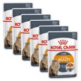 Royal Canin Intense Beauty Jelly 6 x 85 g