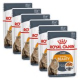 Royal Canin Intense Beauty Jelly 6 x 85 g