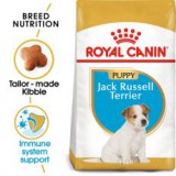 ROYAL CANIN JACK RUSSELL TERRIER JUNIOR - 1,5 kg
