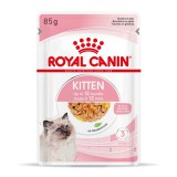 Royal Canin Kitten Jelly - kölyök macska zselés nedves táp 12 x 85 g
