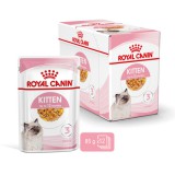 Royal Canin Kitten Jelly - Kölyök macska zselés nedves táp (48 x 85 g) 4.08kg