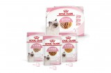 Royal Canin Kitten Multipack Mix alutasak kölyök macskáknak 4x85 g