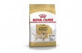 ROYAL CANIN LABRADOR ADULT - Labrador Retriever felnőtt kutya száraz táp 12 kg