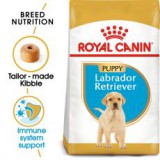 ROYAL CANIN LABRADOR RETRIEVER JUNIOR - 3kg