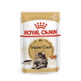 Royal Canin Maine Coon Adult - Maine Coon felnőtt macska nedves táp 12 x 85 g
