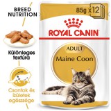 Royal Canin Maine Coon Adult - Maine Coon felnőtt macska nedves táp (48 x 85 g) 4.08kg