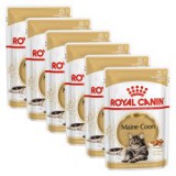Royal Canin Maine Coon - alutasak, 6 x 85g
