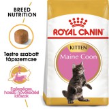 Royal Canin Maine Coon Kitten - Maine Coon kölyök macska száraz táp 2kg
