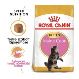 Royal Canin Maine Coon Kitten - Maine Coon kölyökmacska száraz táp 2 kg