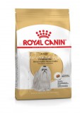 Royal Canin MALTESE ADULT 1,5kg száraz kutyatáp