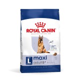 Royal Canin Maxi Adult 5+ - nagytestű idősödő kutya száraz táp 4 kg