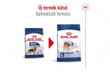 ROYAL CANIN MAXI ADULT - nagytestű felnőtt kutya száraz táp 15 kg