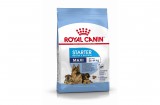 ROYAL CANIN MAXI STARTER -  nagy testű kölyök és vemhes kutya száraz táp 4 kg