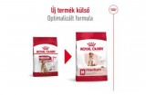ROYAL CANIN MEDIUM ADULT 7+ - közepes testű idősödő kutya száraz táp 15 kg