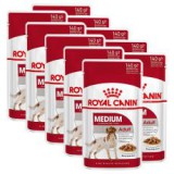Royal Canin Medium Adult alutasak 10 x 140 g