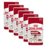 Royal Canin Medium Adult alutasak 6 x 140 g