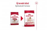 ROYAL CANIN MEDIUM ADULT - közepes testű felnőtt kutya száraz táp 15 kg