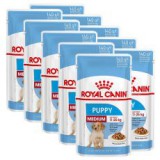 Royal Canin Medium Puppy alutasak 10 x 140 g