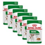 Royal Canin Mini Adult alutasak 6 x 85 g