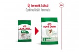 ROYAL CANIN MINI ADULT - kistestű felnőtt kutya száraz táp 0,8 kg