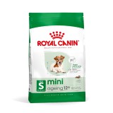 Royal Canin Mini Ageing 12+ - kistestű idős kutya száraz táp 1,5 kg