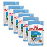 Royal Canin Mini Puppy alutasak 6 x 85 g