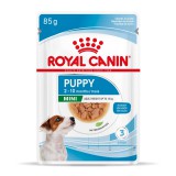 Royal Canin Mini Puppy alutasakos 12 x 85 g