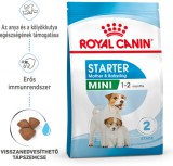 Royal Canin Mini Starter - Száraz táp kistestű vemhes szuka és kölyök kutya részére 2 hónapos korig 4kg
