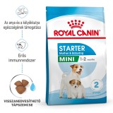 Royal Canin Mini Starter - száraz táp vemhes szuka és kistestű kölyök kutya részére 4 kg