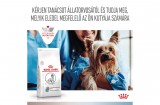 Royal Canin Multifunction Gastro Intestinal Low Fat + Hypoallergenic - száraz eledel felnőtt kutyák részére emésztési problémák esetén alacsony zsírtartalommal és hipoallergén 3 kg