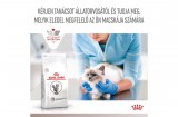 Royal Canin Multifunction Gastrointestinal Hydrolysed Protein - száraz eledel felnőtt macskák részére emésztési zavarokra és táplálékallergiára 2 kg