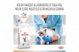 Royal Canin Multifunction Urinary S/O + Hypoallergenic - száraz eledel felnőtt macskák részére struvit kő ellen és hipoallergén 2 kg