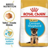 ROYAL CANIN NÉMET JUHÁSZKUTYA JUNIOR, 12 kg