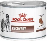 Royal Canin Recovery kutyáknak és macskáknak 195 g KARTON - 12 db