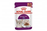 Royal Canin Sensory Feel- szószos nedves táp felnőtt macskák részére 0,085kg