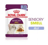 Royal Canin Sensory Smell - zselés nedves táp felnőtt macskák részére 12 x 85 g