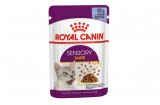 Royal Canin Sensory Taste Gravy- zselés nedves táp felnőtt macskák részére 0,085 kg