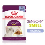 Royal Canin Ssensory Smell Jelly - Zselés felnőtt macska nedves táp fokozott illattal (48 x 85 g) 4.08kg