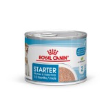 Royal Canin Starter Mother & Babydog Mousse - kölyökkutya pépes nedves táp 12 x 195 g