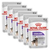 Royal Canin Sterilised Dog Loaf alutasakos pástétom ivartalanított kutyák számára 6 x 85 g, 5+1 GRÁTISZ