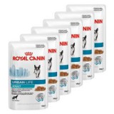 Royal Canin Urban Life Adult- alutasak, 6 x 150g