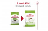 ROYAL CANIN X-SMALL ADULT - nagyon kistestű felnőtt kutya száraz táp 0,5 kg